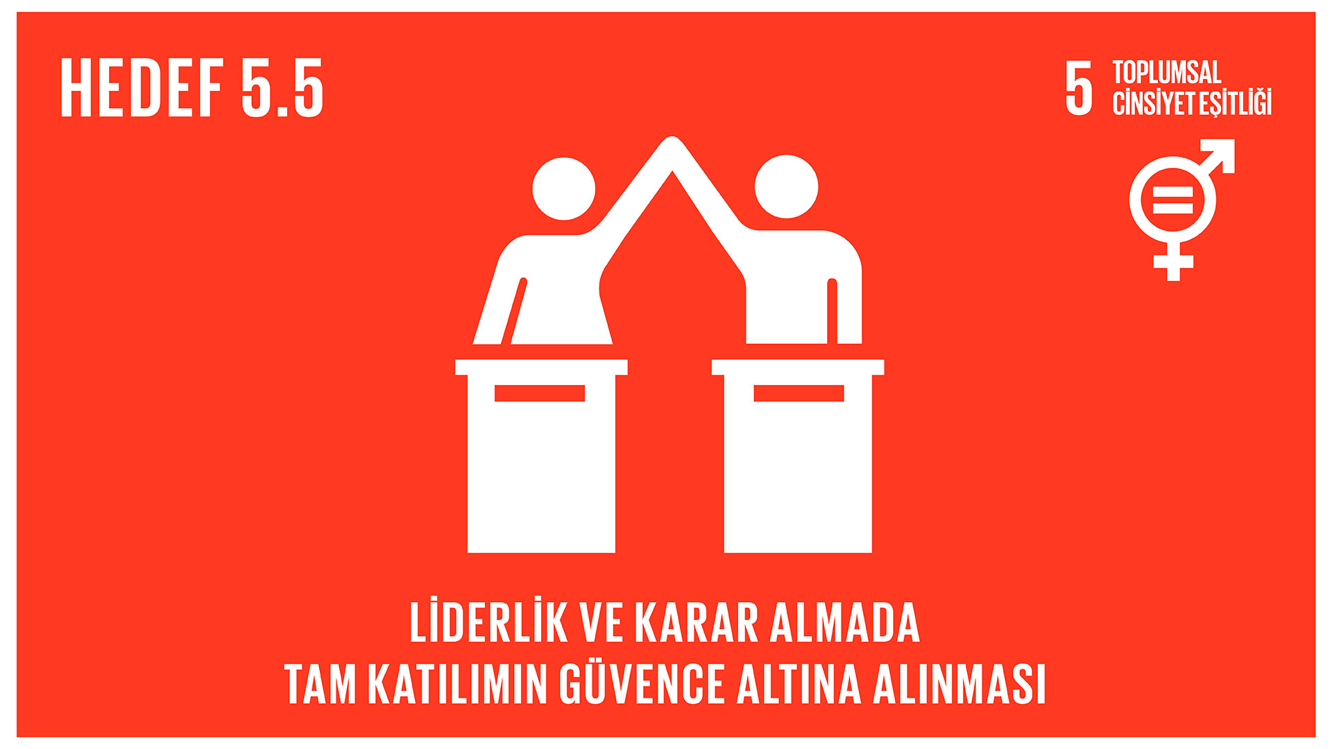 Hedef 5.5 - Toplumsal Cinsiyet Eşitliği: Liderlik ve karar almada tam katılım