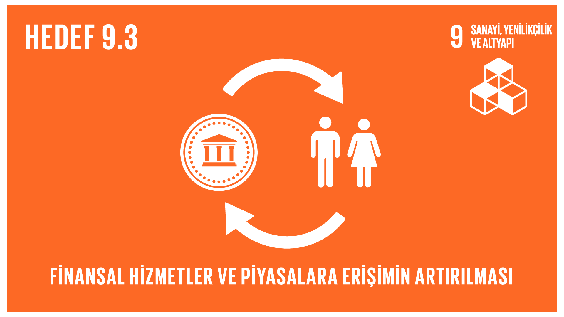 Hedef 9.3 - Sanayi, Yenilikçilik ve Altyapı: Finansal hizmetlere ve piyasalara erişimin artırılması